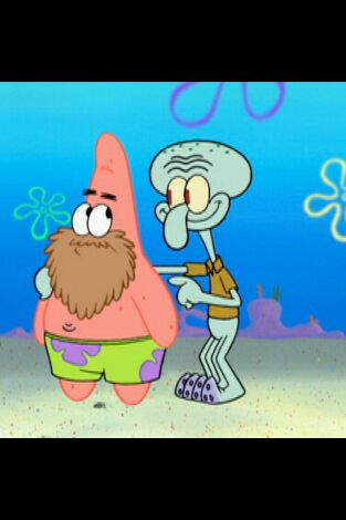 Bob Esponja. T(T8). Bob Esponja (T8): La escuela de adultos de Calamardo / La representación