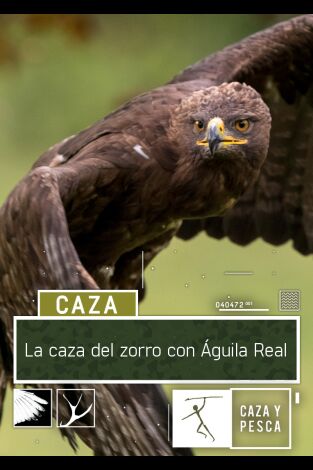 La caza del  zorro con Águila Real