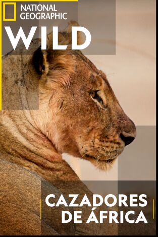 Cazadores de África. Cazadores de África 