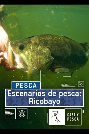 Escenarios de pesca: Ricobayo