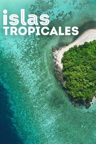 Islas tropicales. Islas tropicales 