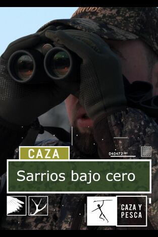 Sarrios bajo cero