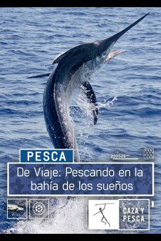 De viaje: pescando en la bahía de los sueños