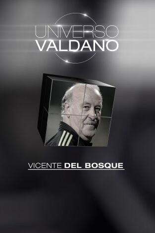 Universo Valdano. T(3). Universo Valdano (3): Vicente del Bosque