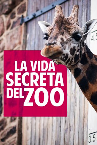 La vida secreta del Zoo. T(T5). La vida secreta del Zoo (T5)