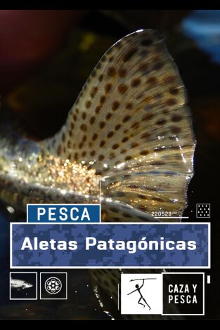 Patagonia indomable con David  Ferreras. T(T1). Patagonia... (T1): Aletas patagónicas