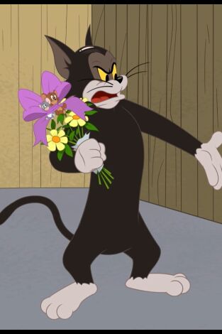 El show de Tom y Jerry. T(T4). El show de Tom y... (T4): Soy un tipo duro