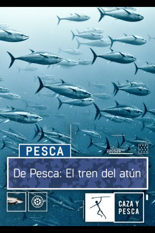 De pesca: el tren del atún