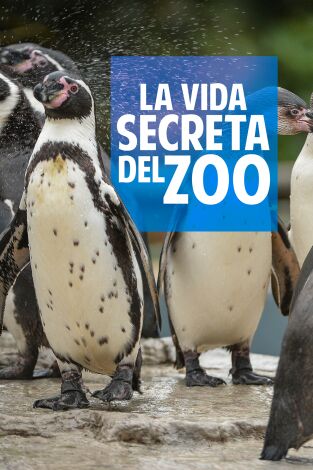 La vida secreta del Zoo. T(T3). La vida secreta del Zoo (T3)