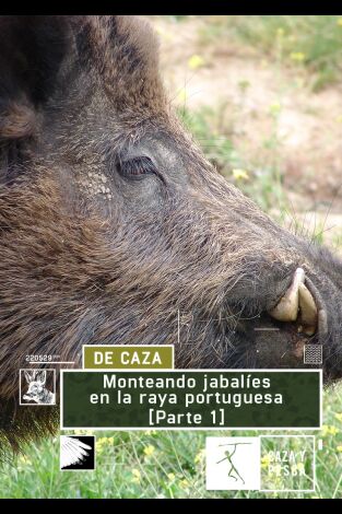 Monteando jabalíes en la raya Portuguesa 1ª parte