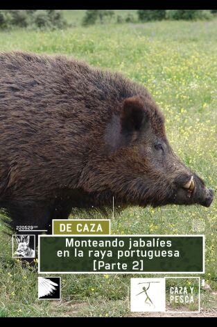 Monteando jabalíes en la raya Portuguesa 2ª parte