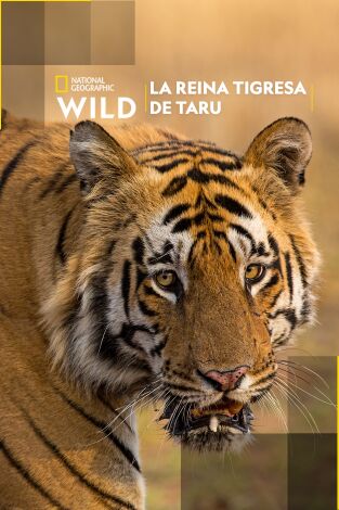 Póster de La reina tigresa de Taru