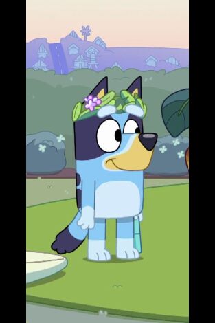 Bluey. T(T2). Bluey (T2): Isla Alfombra