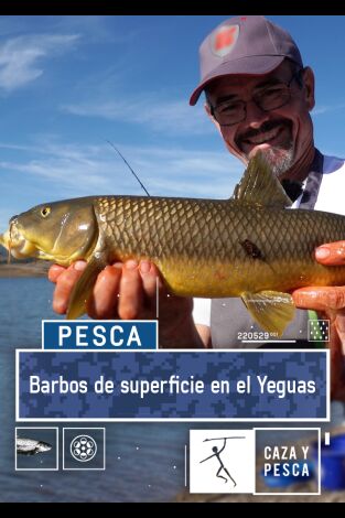 Barbos de superficie en el Yeguas