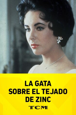 La gata sobre el tejado de zinc