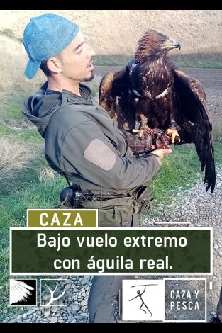 Bajo vuelo extremo con águila real