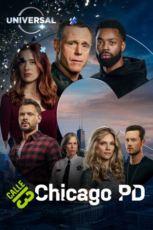 Chicago P.D.. T(T8). Chicago P.D. (T8)