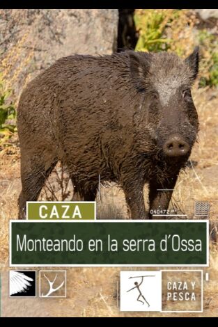 Monteando en la Serra d'Ossa