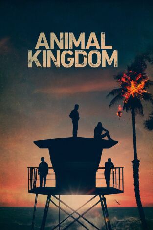 Animal Kingdom. T5. Animal Kingdom