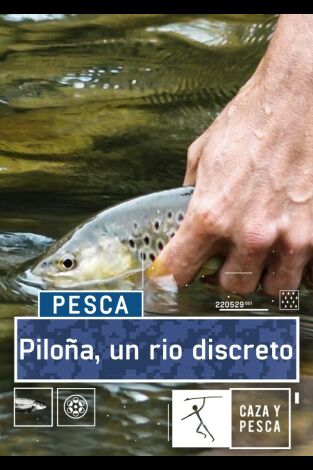 Piloña, un río discreto