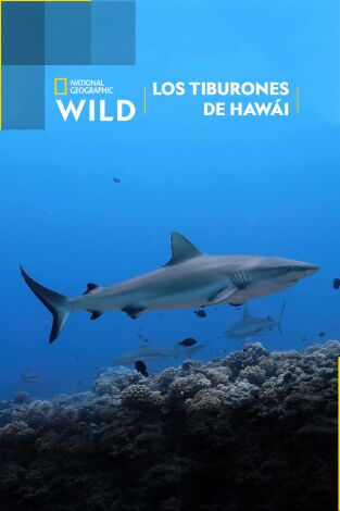 Los tiburones de Hawái