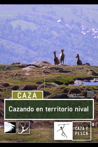 Cazando en territorio nival