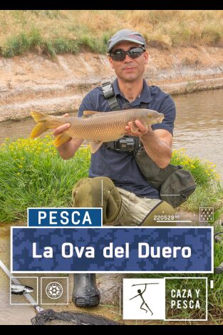 La ova del Duero