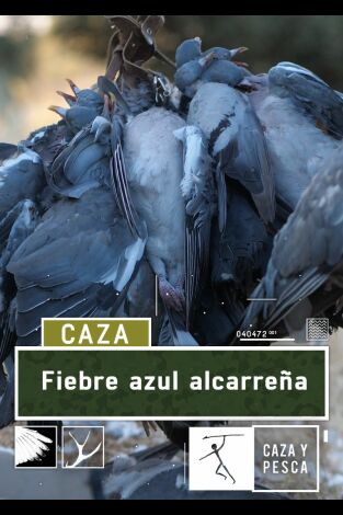 Fiebre azul Alcarreña