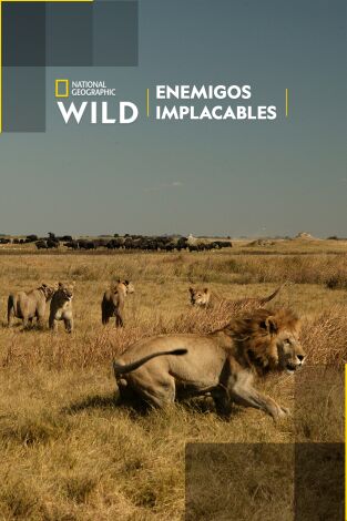 Enemigos implacables