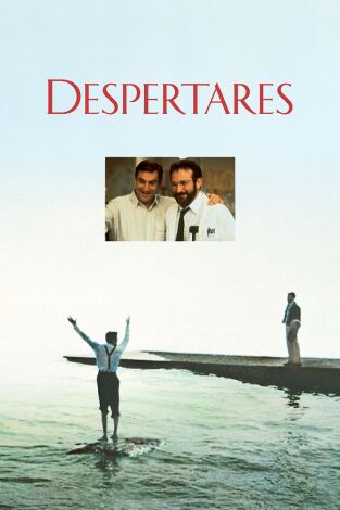 Despertares