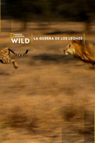 La guerra de los leones