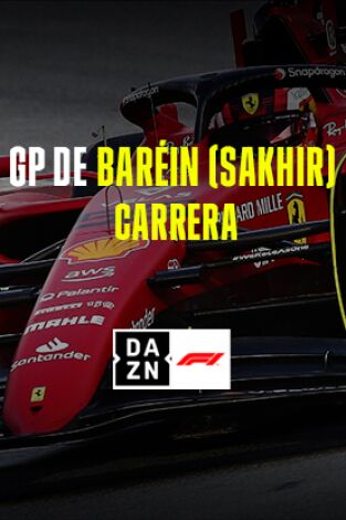 GP de Baréin (Sakhir). GP de Baréin (Sakhir): GP de Baréin: Carrera