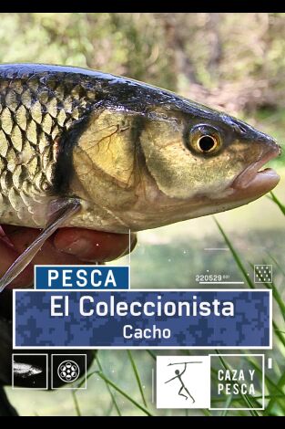 El coleccionista. El coleccionista: Cacho