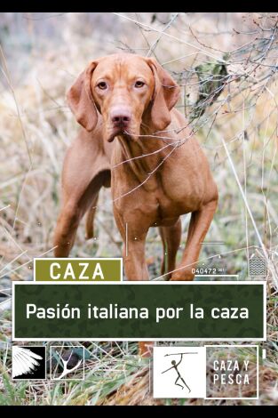 Pasión italiana por la caza. Pasión italiana por la...: Una nueva experiencia para un perrero
