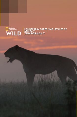 Los depredadores más letales de África