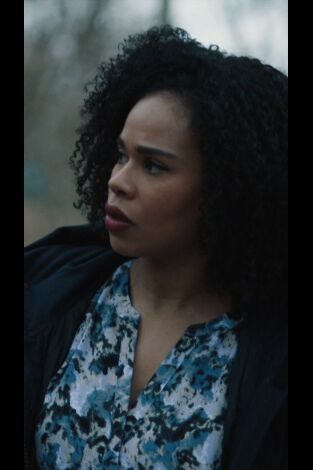 FBI: Most Wanted. T(T3). FBI: Most Wanted (T3): Ep.16 Descriminalizado