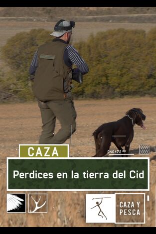 Perdices en la tierra del Cid