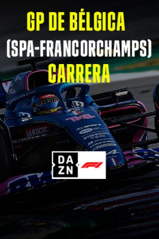 GP de Bélgica (Spa-Francorchamps). GP de Bélgica: Carrera