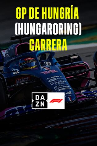 GP de Hungría (Hungaroring). GP de Hungría...: GP de Hungría: Carrera