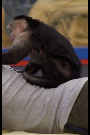 Equipo Danger. T(T2). Equipo Danger (T2): Ep.1 Un impostor entre nosotros