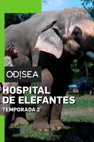 Hospital de elefantes. Hospital de elefantes 