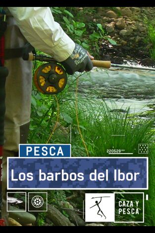 Los barbos del Ibor
