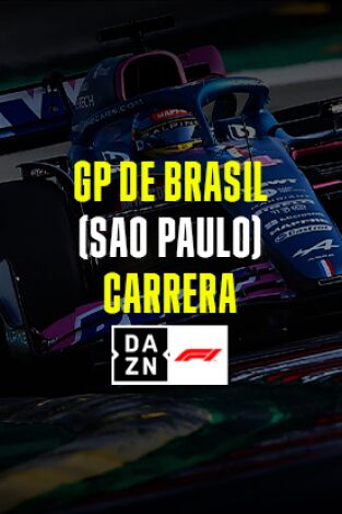 GP de Brasil (Sao Paulo). GP de Brasil (Sao Paulo): GP de Brasil: Carrera