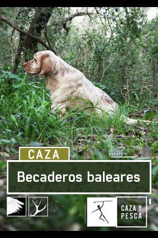 Becaderos Baleares. T(T1). Becaderos Baleares (T1): Menorca, santuario becadero