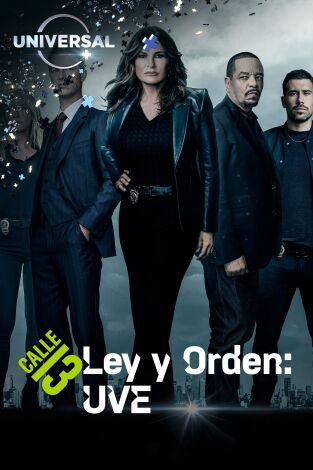 Ley y orden: unidad de víctimas especiales. T(T24). Ley y orden: unidad de víctimas especiales (T24)