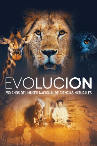 Evolución: 250 años del Museo Nacional de Ciencias Naturales