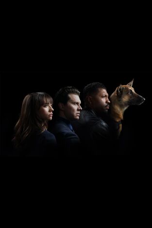 Angie Tribeca. T(T3). Angie Tribeca (T3): Ep.3 Conductor a la fuga