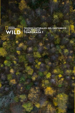 Tesoros Naturales: Del Cantábrico a los Pirineos