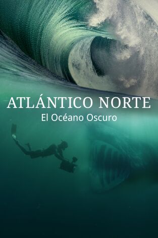 Atlántico Norte: el océano oscuro. Atlántico Norte: el océano oscuro 