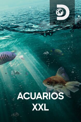 Acuarios XXL. Acuarios XXL: Un acuario ganador para Antonio Brown